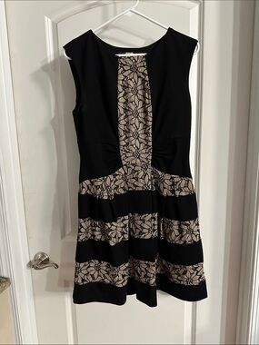 Anthropologie x Eva Franco Black/Beige Lace Panel Fit & Flare Dress - Size 12P